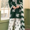 3 Pcs Women's Unstitched Embroidered Suit